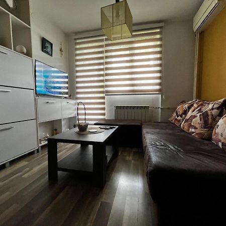 Appartamento Sova Vrsac Esterno foto