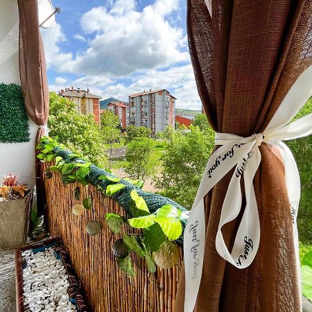 Appartamento Sova Vrsac Esterno foto