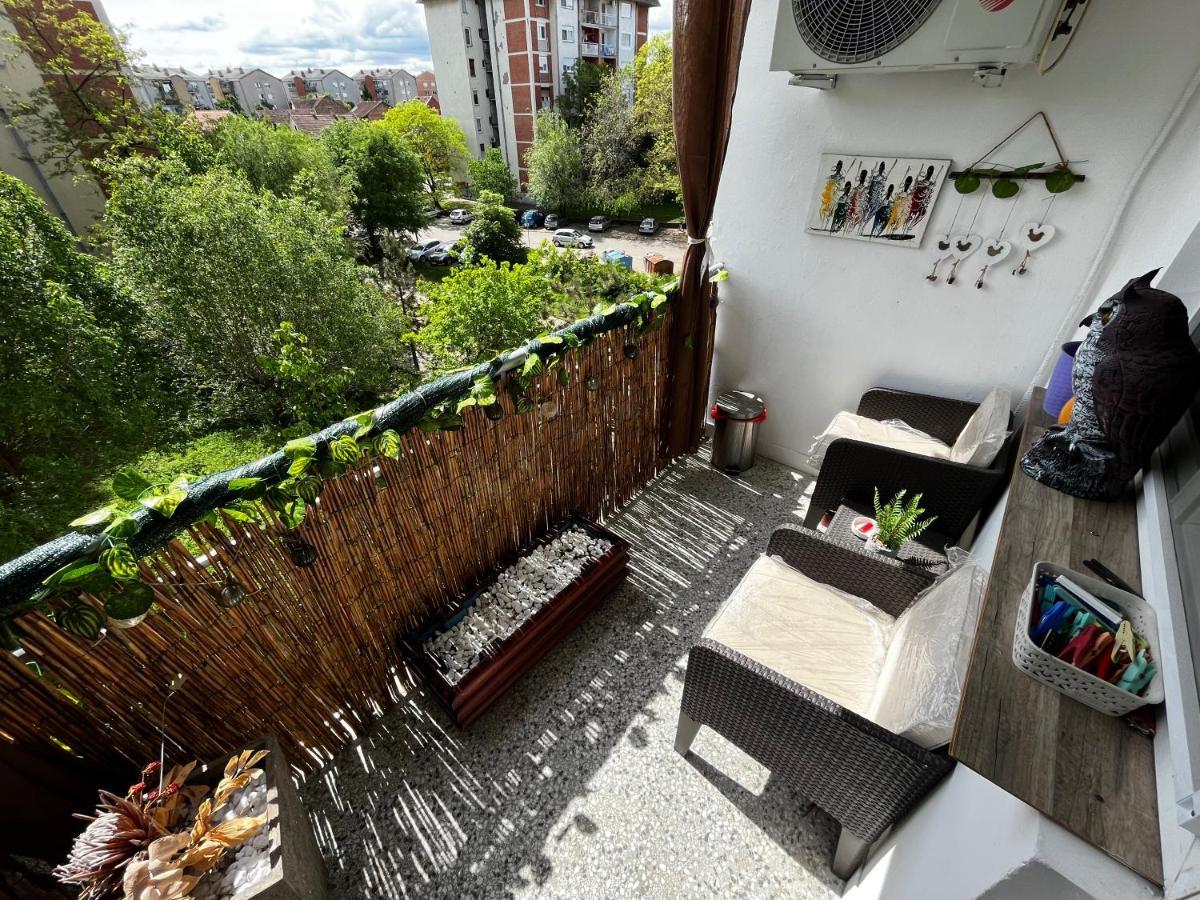 Appartamento Sova Vrsac Esterno foto