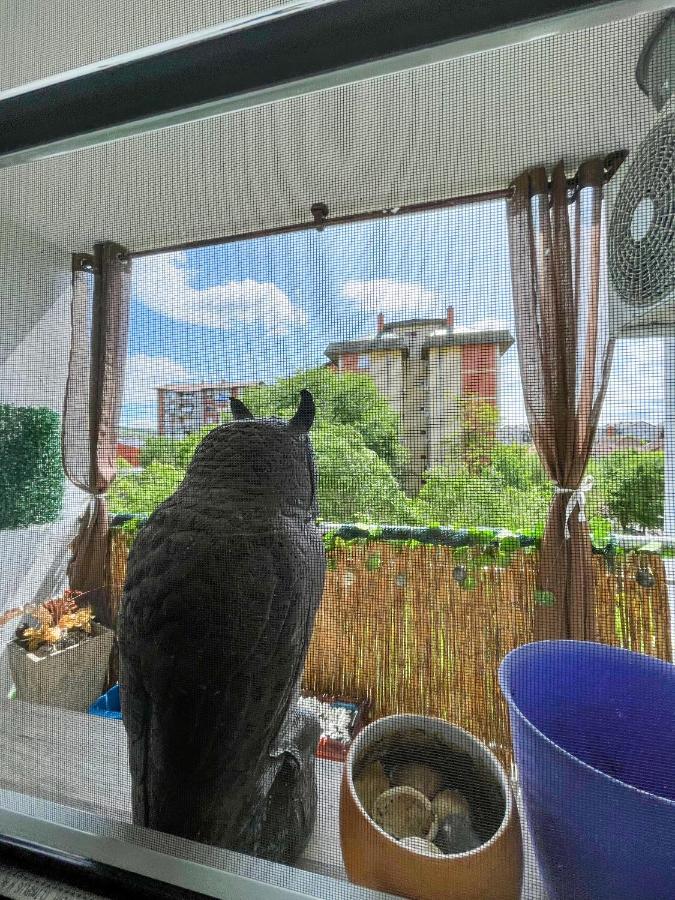 Appartamento Sova Vrsac Esterno foto