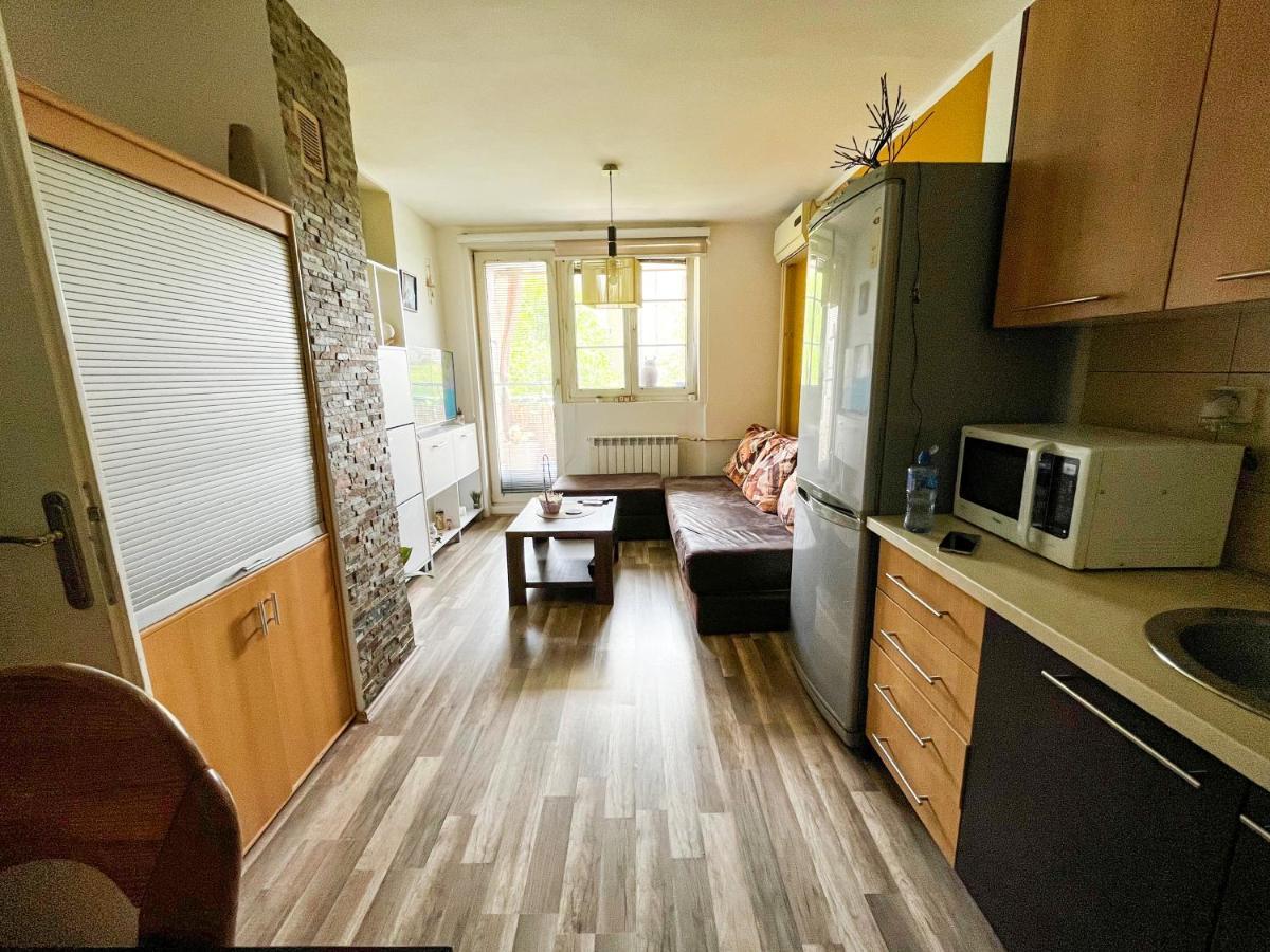 Appartamento Sova Vrsac Esterno foto